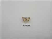 藏品(尺蛾186)的圖片